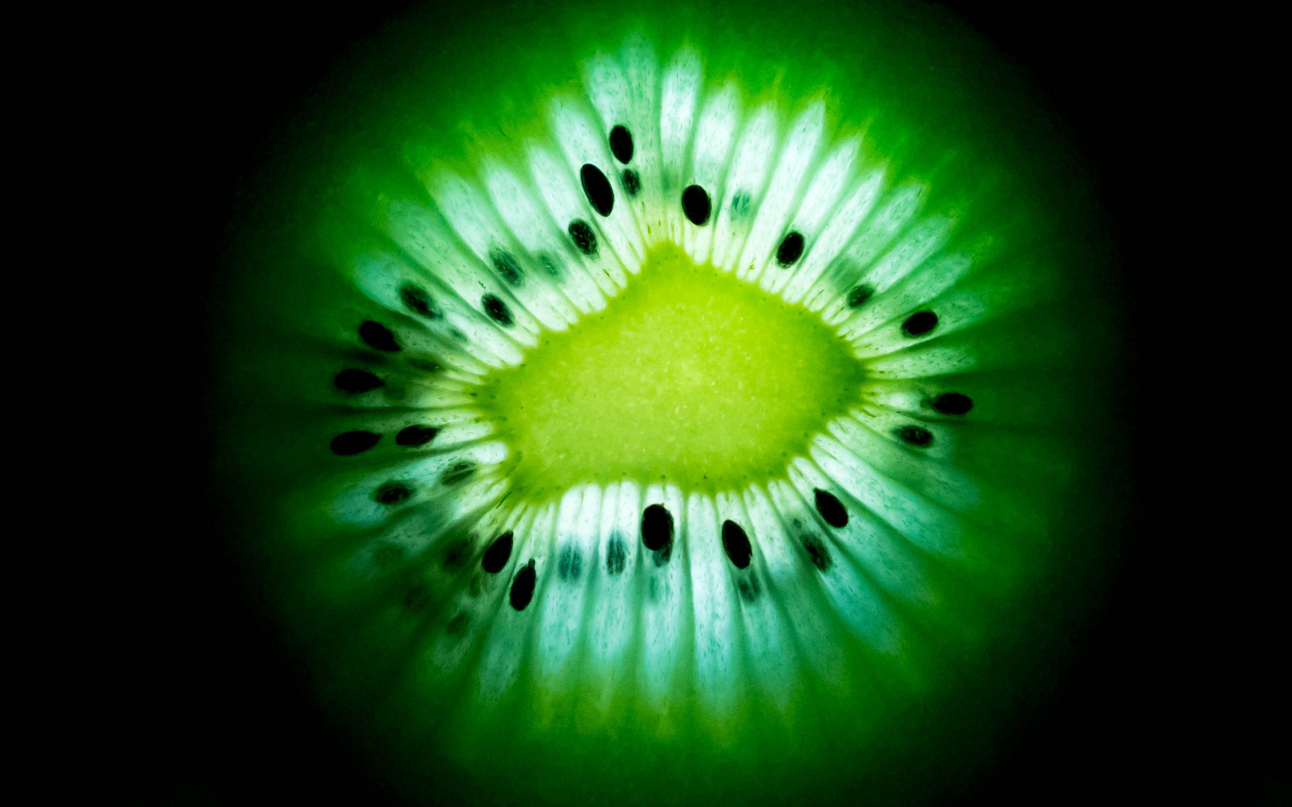 Kiwi Fruit7328085